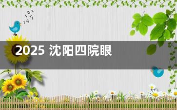 2025 沈阳四院眼科收费标准公布：近视矫正、青光眼、白内障、视网膜脱落等项目价格明细一览